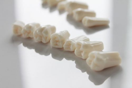 Запасные зубы к фантомной челюсти (JG-J2, JG-J3) фото