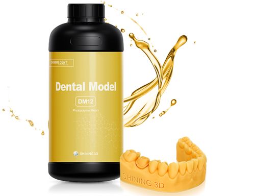 Dental Model (DM12) фото