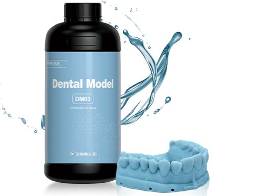 Dental Model (DM03) фото