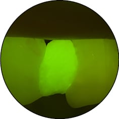 Флуоресцентный режим