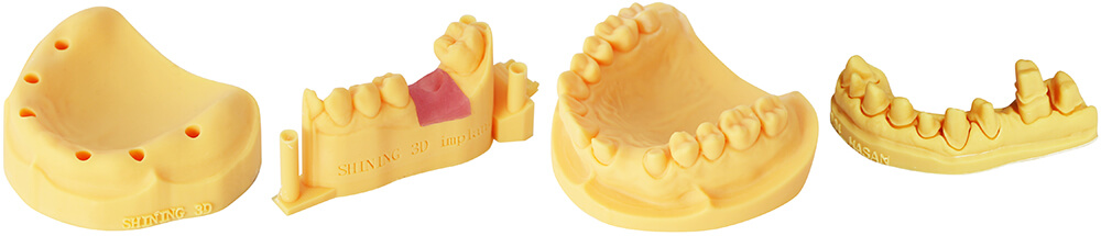 Dental Model (DM12)