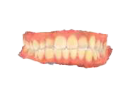 Внутриротовые данные