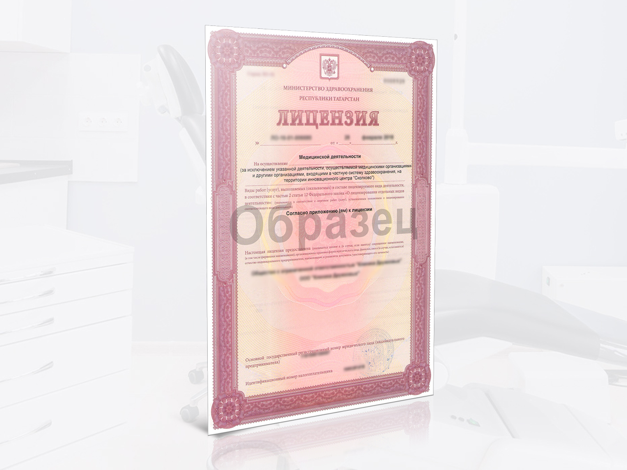 Помощь в получении лицензии