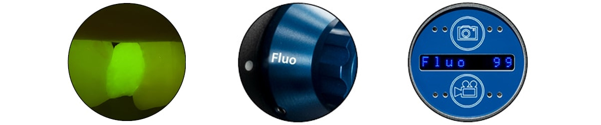 Флуоресцентный фильтр