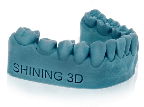 Dental Model (DM03)